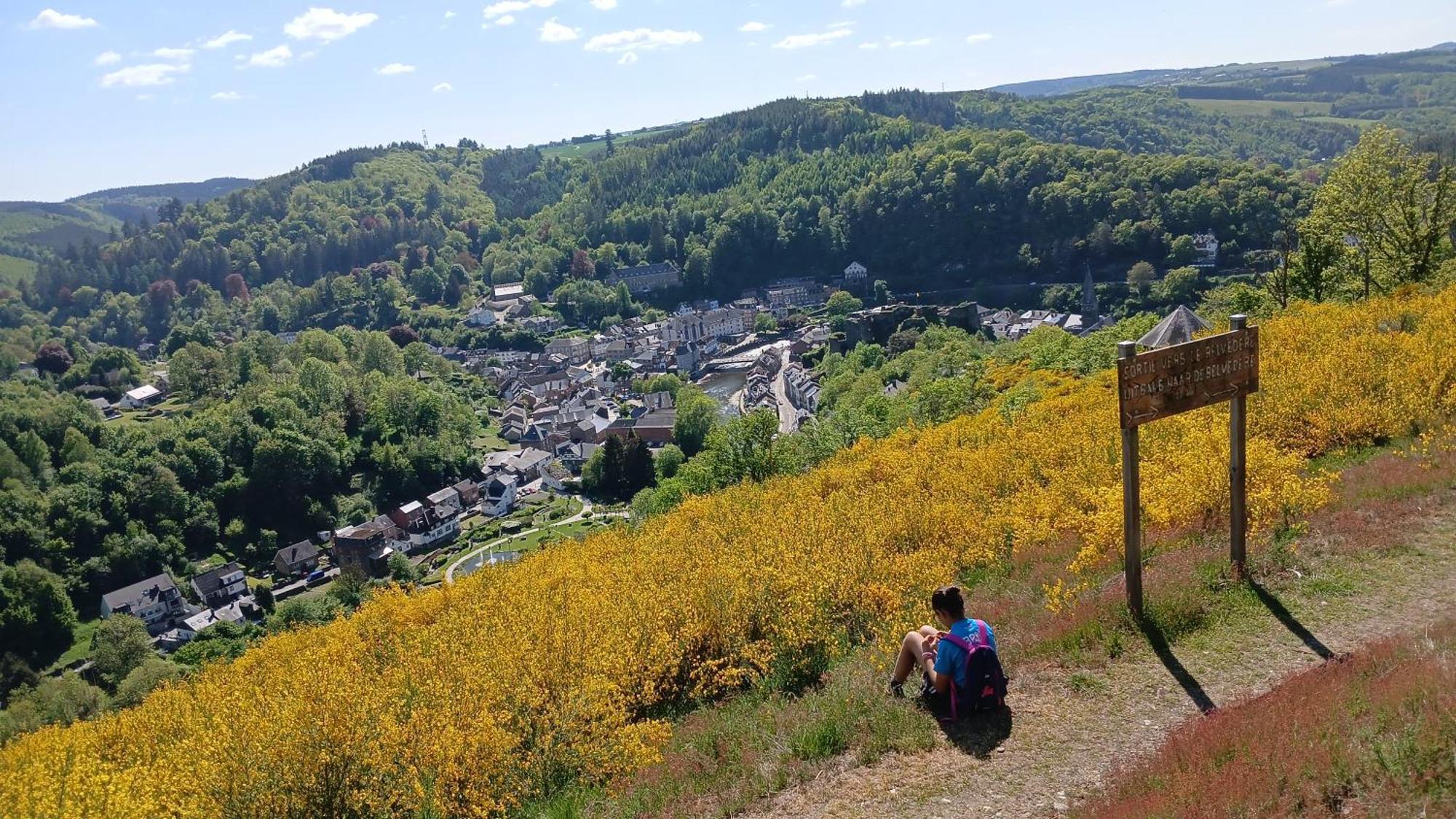 Le Panorama Βίλα La-Roche-en-Ardenne Εξωτερικό φωτογραφία